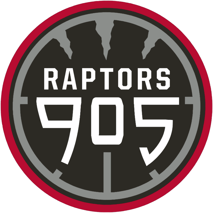 Raptors 905 2015-Pres Primary Logo iron on transfers for clothing
